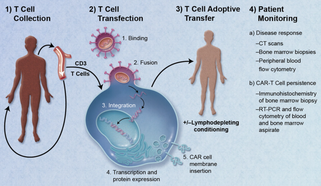 Regenerative Medicine Therapeutic Medical Devices Transform Healthcare