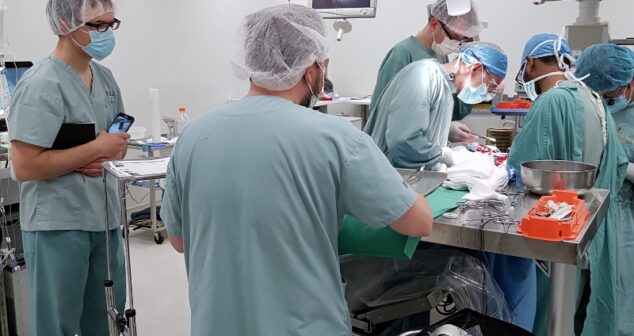 Procedural Observations Accessibility Description: Operating Room with team of OR staff being observed by StarFish ID team leader