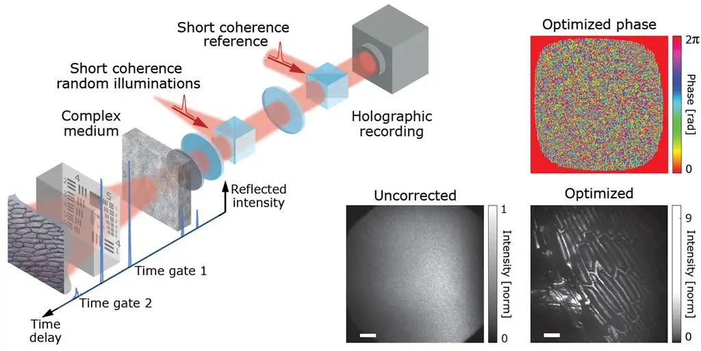 Computational biophotonics imaging system reconstructing an object through scattering media using holographic recording and optimized phase correction.