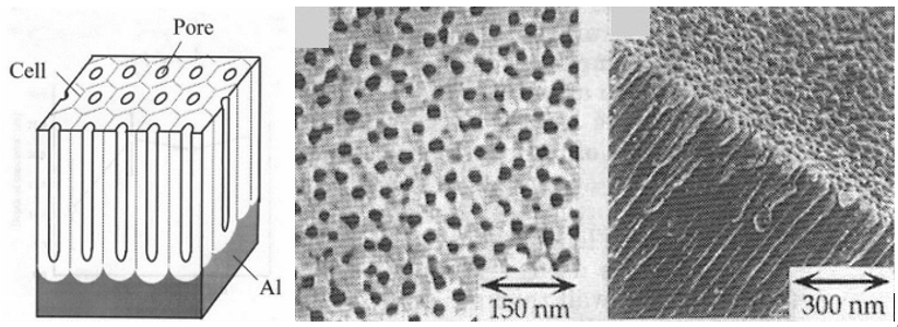 Anodized Aluminium Biocompatible