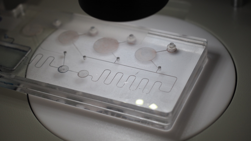 Microfluidic Optics