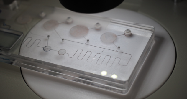 Microfluidic Optics