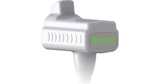 ENDRA TAEUS ultrasound system handheld probe with integrated lighting