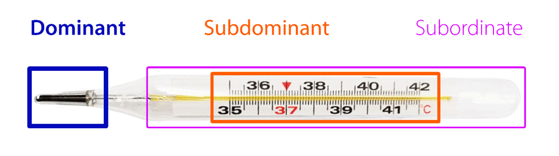 Traditional thermometer with labels showing the 3 distinct splits of structural elements Dominant, Subdominant, and Subordinate.
