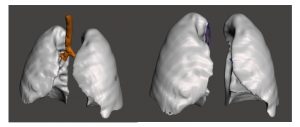 functional models from anatomical scans 