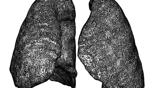 functional models from anatomical scans