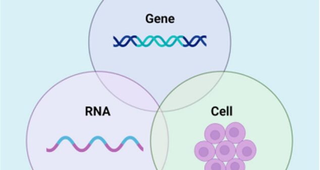 Cell Gene Therapy Manufacturing