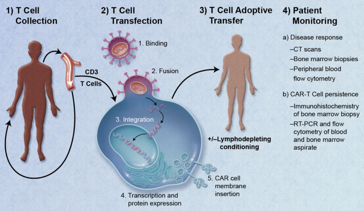 Regenerative Medicine therapeutic medical devices transform healthcare