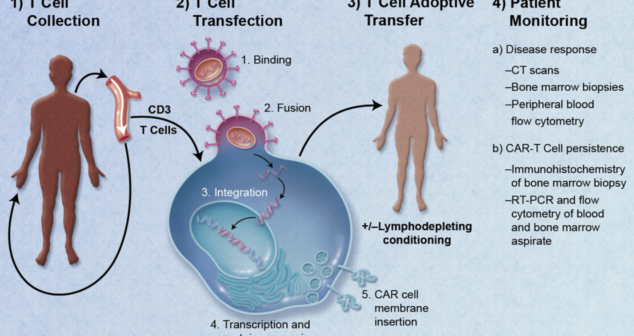 Regenerative Medicine therapeutic medical devices transform healthcare