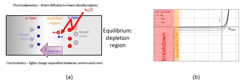 PN junction diagram showing depletion region formation and breakdown behavior in semiconductor photodetectors