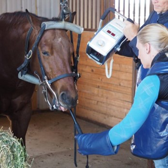 Man and woman with horse. Manis holding a portable equine ultrasound, bone & dental radiograph, and digital endoscope.