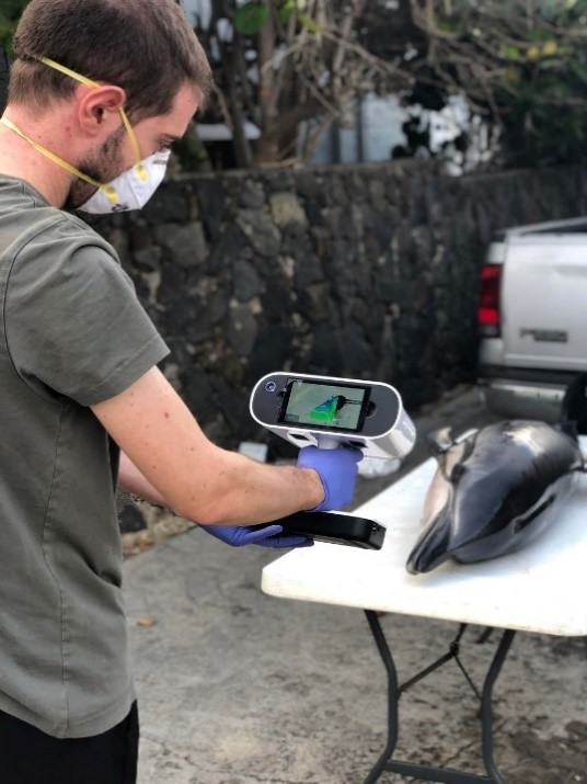 Man pointing a handheld 3D laser scanner at a large fish.