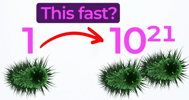 Thumbnail showing bacterial growth from one cell to 10²¹ cells, illustrating rapid bacteria reproduction with text reading “This fast?” and a red arrow indicating exponential increase.