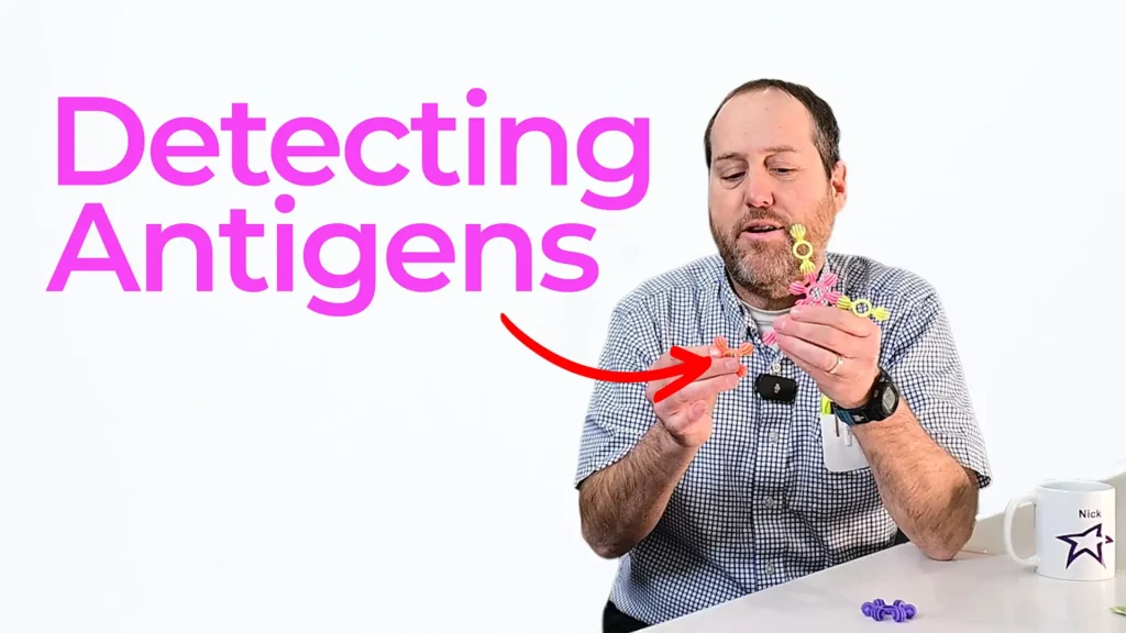 Nick from StarFish Medical demonstrating antigen detection using a toy antibody model to explain how monoclonal antibodies bind antigens in ELISA diagnostics