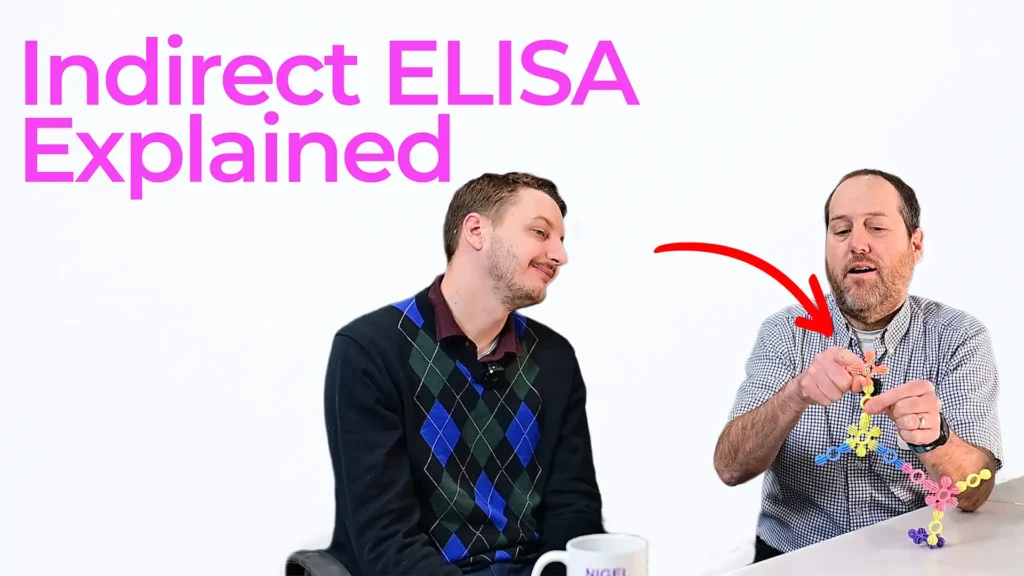 Indirect ELISA explained with antibody model showing enzyme linked immunoassay detection