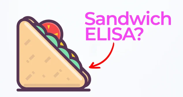 Thumbnail showing a cartoon sandwich icon with the text “Sandwich ELISA?” and a red arrow pointing to the sandwich.