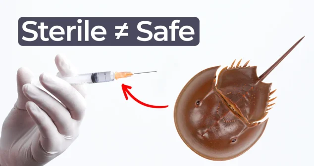 Bacterial endotoxin testing concept showing syringe and horseshoe crab representing LAL test for medical device safety