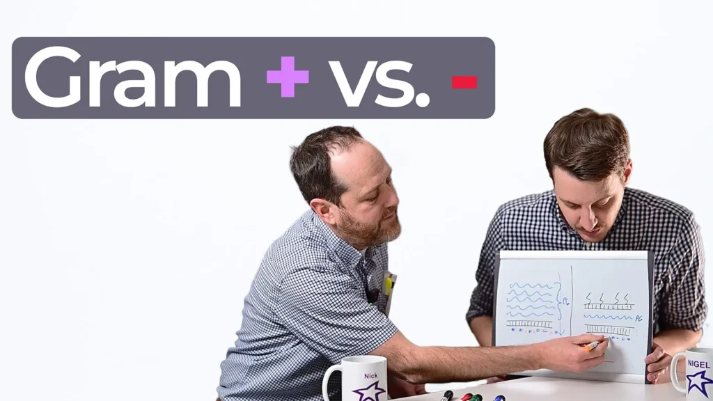 Gram positive vs negative bacteria explained with diagram and comparison