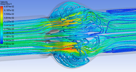 Heart Valve Computational Simulation