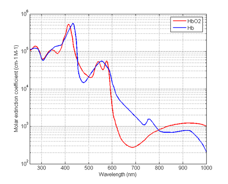 A semi-logarithmic plot showing the molar extinction coefficients of oxyhemoglobin (HbO₂, red line) and deoxyhemoglobin (Hb, blue line) across wavelengths from 250 nm to 1000 nm. The y-axis (log scale) represents the molar extinction coefficient in cm⁻¹·M⁻¹, ranging from 10² to 10⁶. The x-axis shows wavelength in nanometers. Notable spectral differences between HbO₂ and Hb are observed particularly around 400–600 nm and again around 800–1000 nm. The data reveals distinct absorption peaks and troughs corresponding to each hemoglobin form.